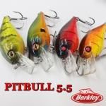 Berkley / С쥤PITTBULL5.5ԥåȥ֥5.5