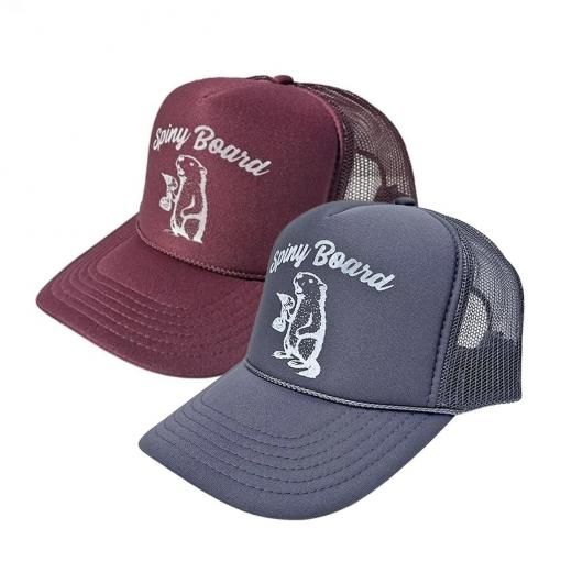 SPINYۥѥˡꥸʥ MAMORU MESH CAP