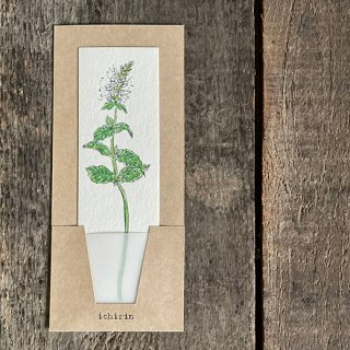 一輪 紙の花「ハーブ」 ichirin -herb-（カミモノ研究所）