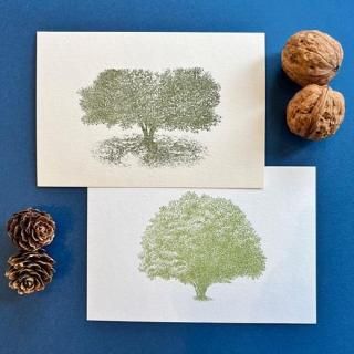 <img class='new_mark_img1' src='https://img.shop-pro.jp/img/new/icons5.gif' style='border:none;display:inline;margin:0px;padding:0px;width:auto;' />ݥȥ ڡknoten letterpress