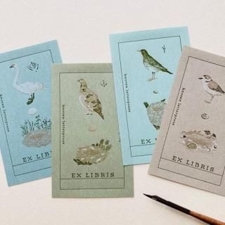 <img class='new_mark_img1' src='https://img.shop-pro.jp/img/new/icons5.gif' style='border:none;display:inline;margin:0px;padding:0px;width:auto;' />¢ɼ Ļ4祻åȡknoten letterpress