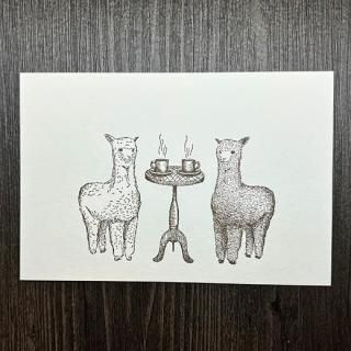 <img class='new_mark_img1' src='https://img.shop-pro.jp/img/new/icons5.gif' style='border:none;display:inline;margin:0px;padding:0px;width:auto;' />ؤĤ뤮Ʋ٥ݥȥ ѥե