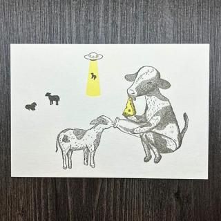 <img class='new_mark_img1' src='https://img.shop-pro.jp/img/new/icons5.gif' style='border:none;display:inline;margin:0px;padding:0px;width:auto;' />ؤĤ뤮Ʋ٥ݥȥ ҵ
