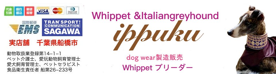 イタリアングレイハウンド＆ウィペットの服ippuku