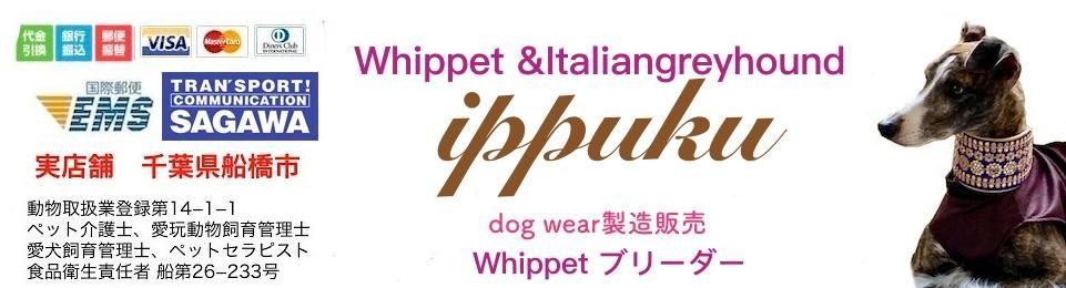 【PETKIND中粒ドライフード 袋】トライプファースト&グレインフリー*パピーからしっかりした体作りに/STOP下痢/お腹に優しい/本能を刺激する飛びつく美味しさ/看板犬&店主オススメ - イタリアングレイハウンド&ウィペットの服ippuku