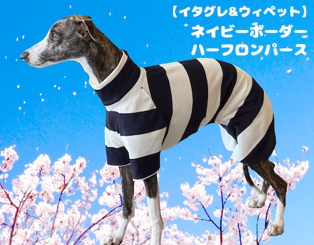イタリアングレイハウンド&ウィペットの服ippuku イタリアングレイハウンド&ウィペットの服ippuku