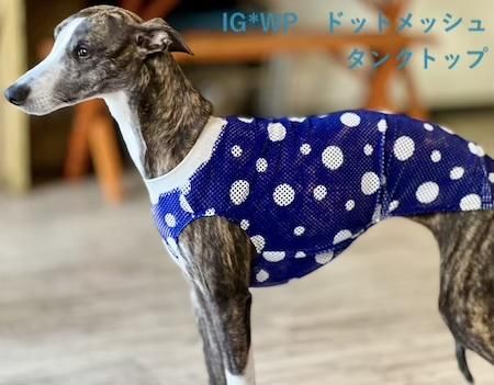 WEB限定カラー】3wayパフスリーブワンピース(マキシ・ロング