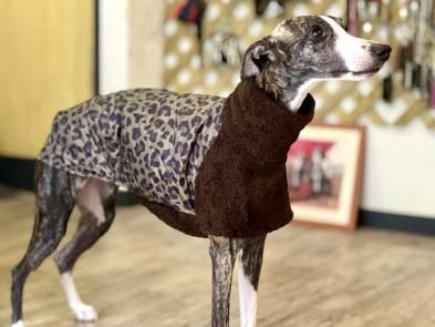 イタグレ&ウィペット】豹柄キルトスリットコート - イタリアン