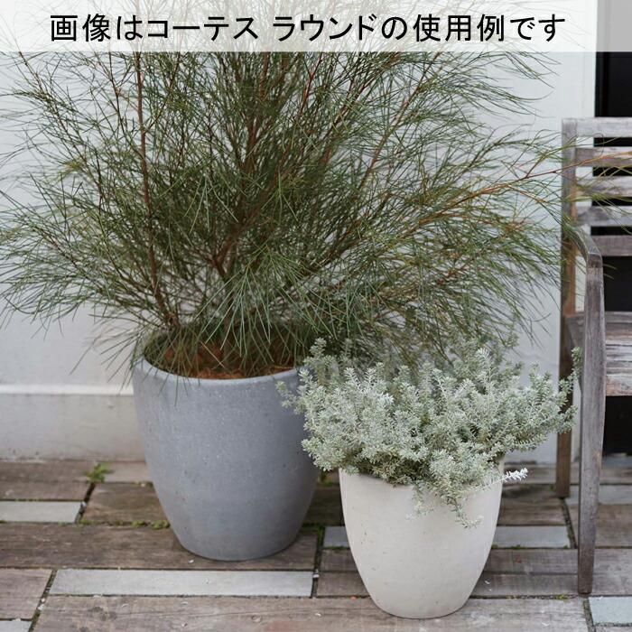 【当店一番人気】 シリンド 送料無料】コーテス ホワイトテラゾ 12リットル 30cm 鉢・プランター用品