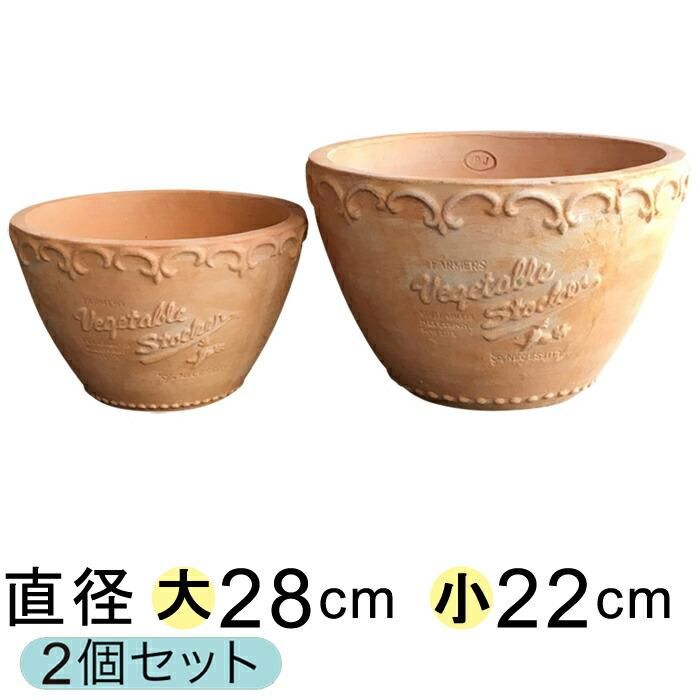 おしゃれ 植木鉢 模様入り 丸 浅型 HM 白粉 素焼き鉢 テラコッタ