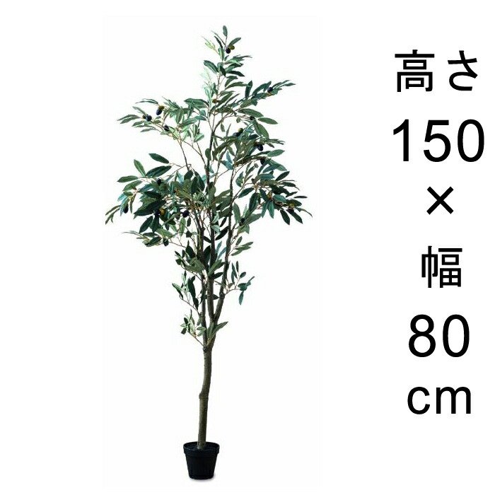 造花 観葉植物 フェイク グリーン #80-954 オリーブツリー 高さ 150cm