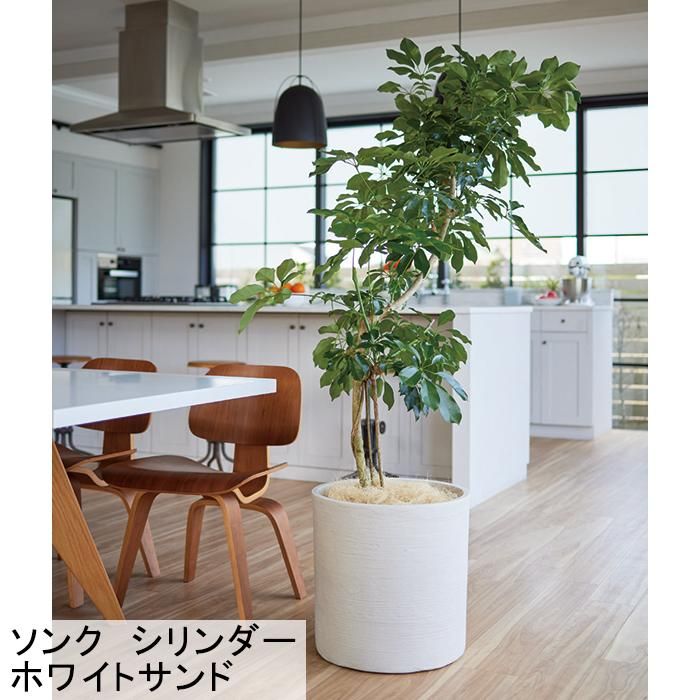 大型 おしゃれ 鉢カバー 10号鉢対応 ソンク シリンダー