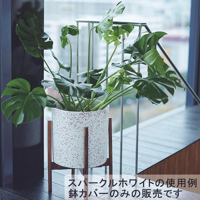 sumire様　確認用　8号鉢 sumire様 確認用 8号鉢 スミレ類全般の栽培｜そだレポ（