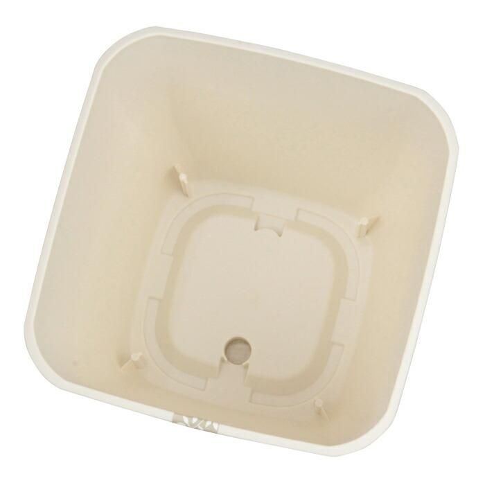 白木の天然木鉢カバー ○数量限定○新作○”ガジュマルの木 天然木鉢カバーセット