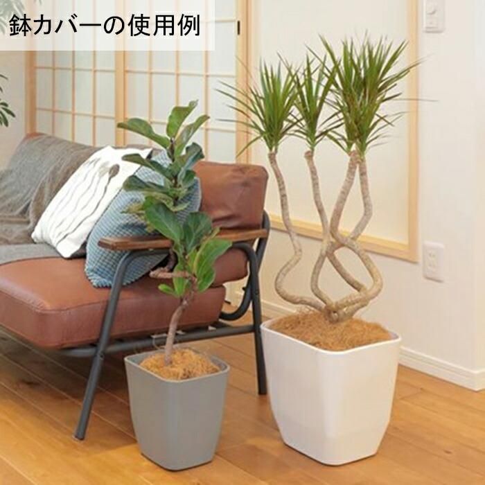 おしゃれ 植木鉢 アトリエ 角 22cm ホワイト 6リットル 鉢カバー