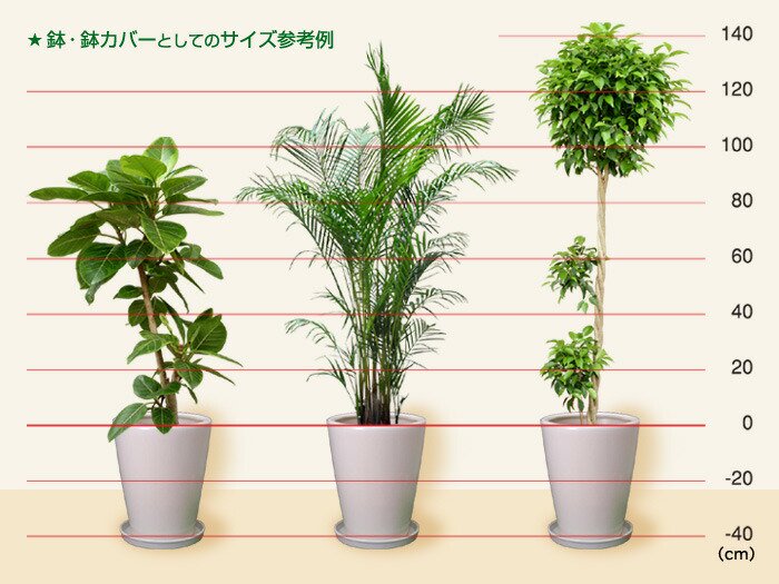 陶器鉢2個セット plants never die - 植物/観葉植物
