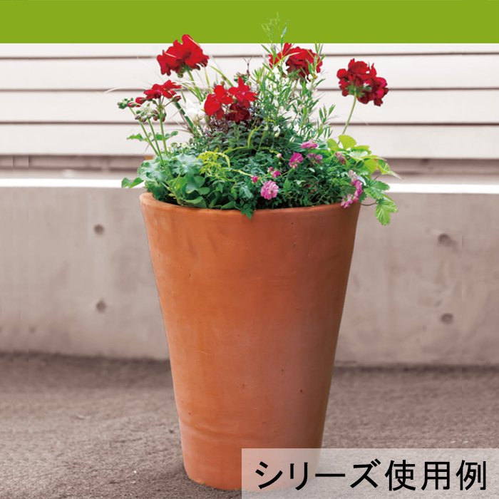 ヨーロッパ製 テラコッタ 鉢 プランター 植木鉢 薔薇 鉢 - 植物/観葉植物