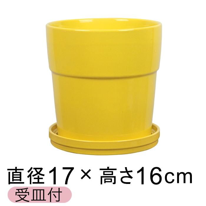 植木鉢 陶器鉢 シンプル リム 12cm イエロー系 〔受皿付〕 釉薬 陶器