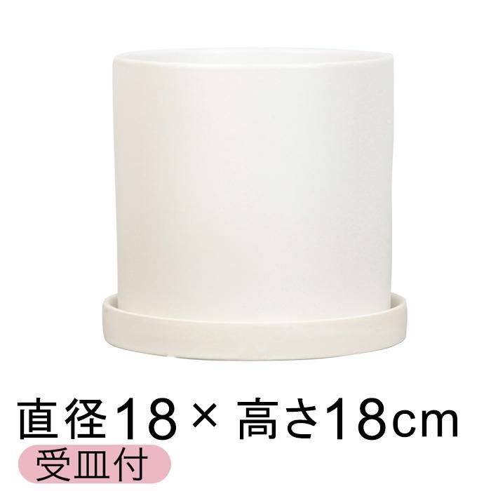陶器鉢 寸胴 丸型 植木鉢 白 つや無 18cm 受皿付 室内 屋内 - 静岡農芸