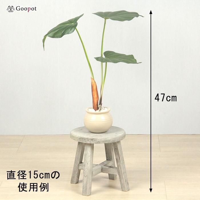 おしゃれ ウッド ミニ 花台 木製 丸 15cm 小さい フラワー