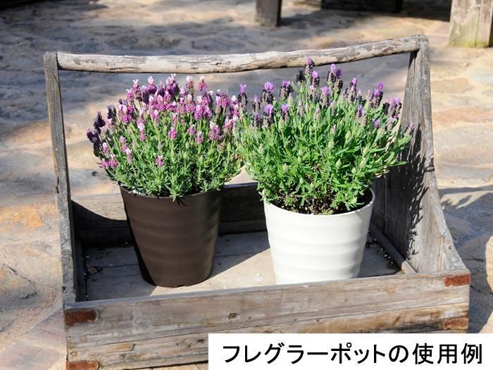 おしゃれ 植木鉢 フレグラーポット 21cm [7号] ダークグリーン 5