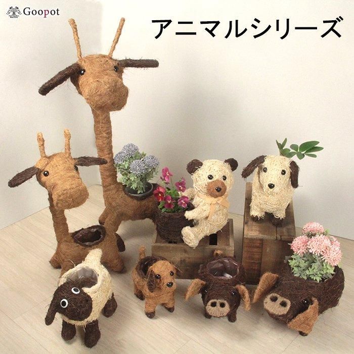 アニマル バスケット 鉢カバー おすわりクマ 25cm 高さ25cm