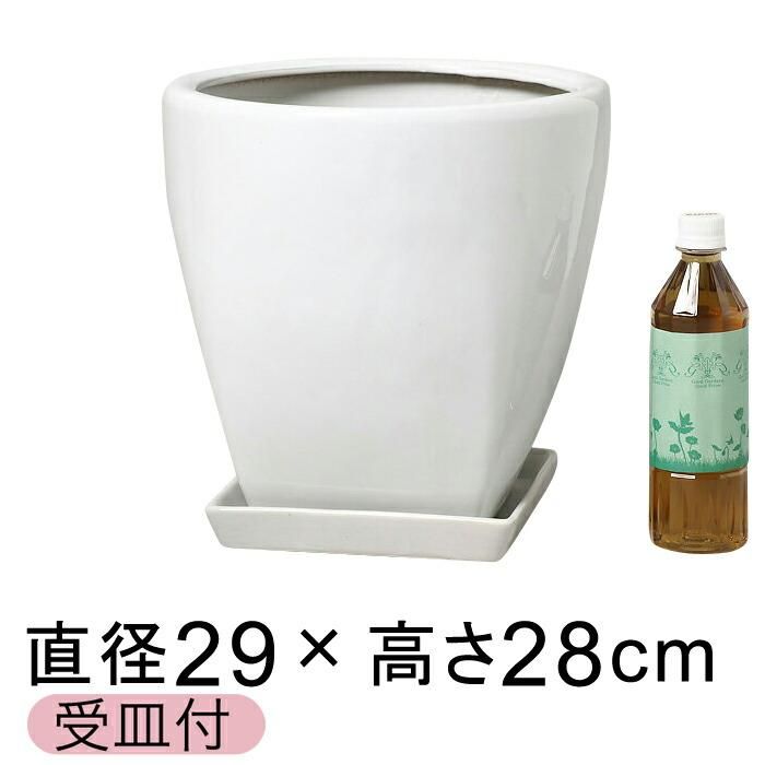 ツルツル 上丸下角型 陶器鉢 白 つや有 M 29cm 11リットル 7号鉢用 鉢カバー 受皿付 植木鉢 鉢カバー専門店 グーポット Goopot Com ツルツル 上丸下角型 陶器鉢 白 つや有 M 29cm 11リットル 7号鉢用 鉢カバー 受皿付 植木鉢 鉢カバー専門店 グーポット Goopot Com