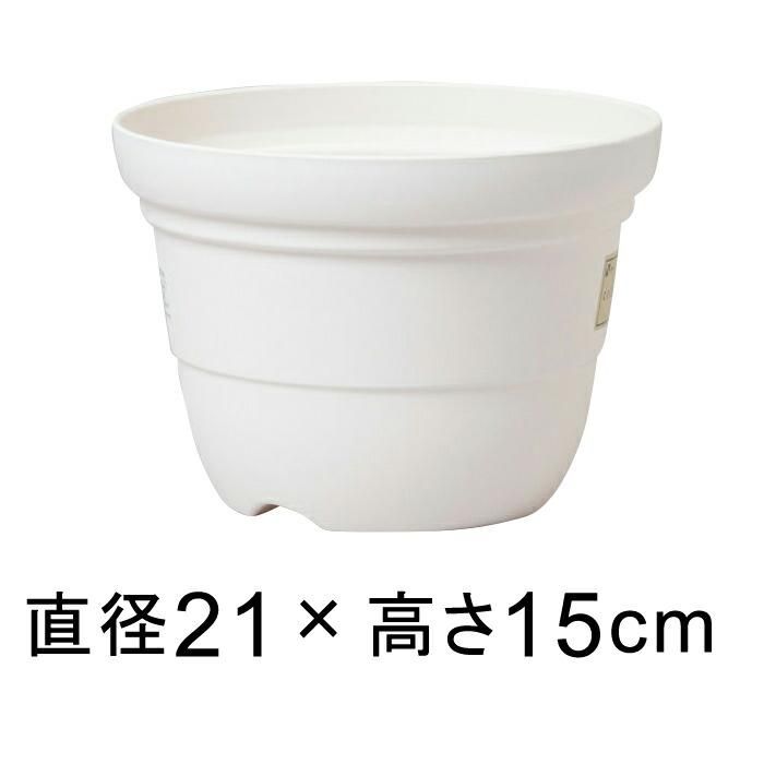 カラーバリエ 輪鉢 7号 21 1cm ホワイト 植木鉢 鉢カバー専門店 グーポット Goopot Com カラーバリエ 輪鉢 7号 21 1cm ホワイト 植木鉢 鉢カバー専門店 グーポット Goopot Com