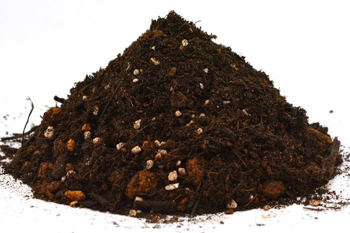 オリーブの土 12L〔リットル〕 【花ごころ】 - 植木鉢・ 鉢カバー専門店 グーポット goopot.com オリーブの土 12L〔リットル〕 【花ごころ】 - 植木鉢・ 鉢カバー専門店 グーポット goopot.com