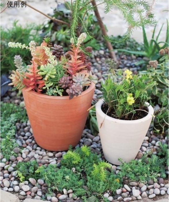 シンプル 深型 素焼き鉢 テラコッタ 鉢 大中小3個セット - 静岡