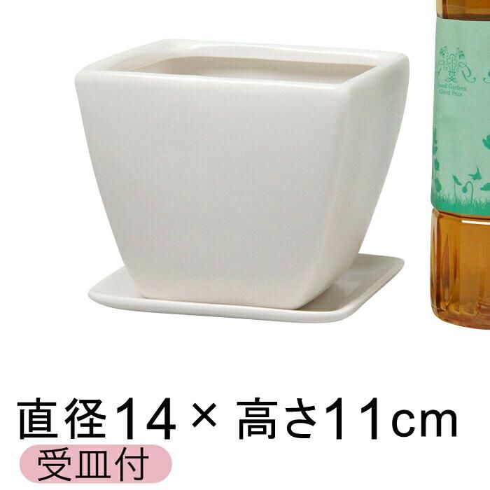 陶器鉢 Cf 角型 白 つや無 14cm 1 4リットル 受皿付 おしゃれ 植木鉢 植木鉢 鉢カバー専門店 グーポット Goopot Com 陶器鉢 Cf 角型 白 つや無 14cm 1 4リットル 受皿付 おしゃれ 植木鉢 植木鉢 鉢カバー専門店 グーポット Goopot Com