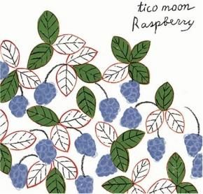 CD】tico moon 『Raspberry』 - 敏感肌の方のための石鹸専門店 SAVON