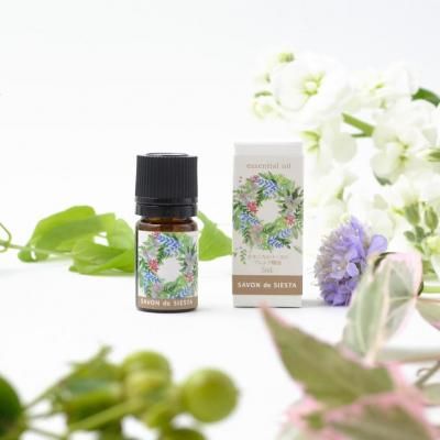 <img class='new_mark_img1' src='https://img.shop-pro.jp/img/new/icons7.gif' style='border:none;display:inline;margin:0px;padding:0px;width:auto;' />ڸۥܥ˥꡼Υ֥