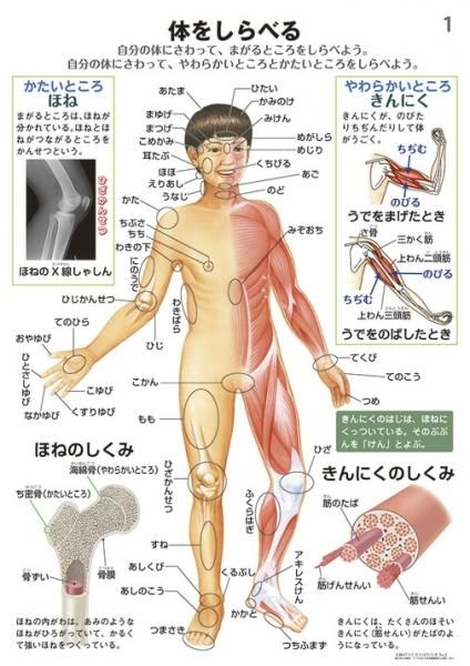 学習教材の制作 販売 アメリカの教科書 国際バカロレア対応教科書 理科実験工作 器具の販売 教材出版 学林舎