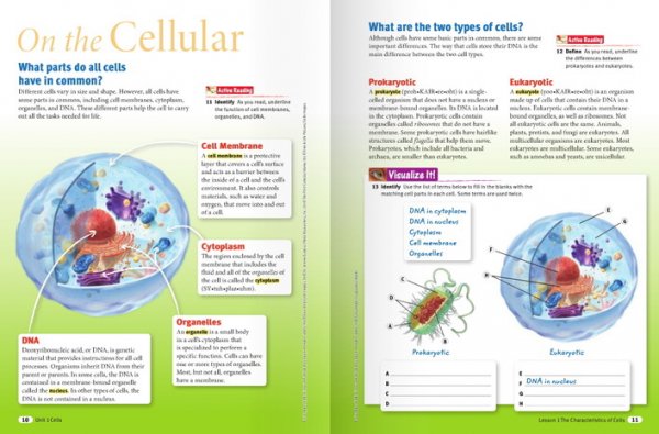 ダイゾー ナチュラル Houghton Mifflin Science 理科教科書 G2～G6