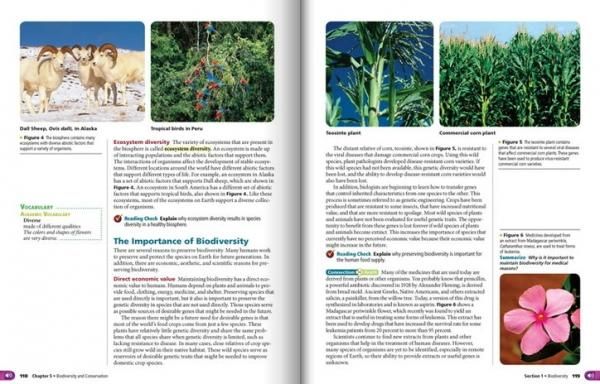 楽天ブックス: 現代アメリカ家庭科カリキュラムに関する研究