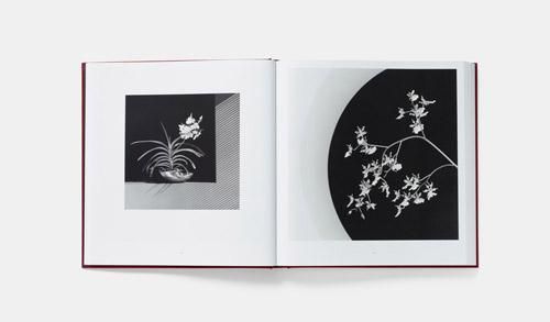 Mapplethorpe / The Complete Flowers 写真集