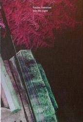 山谷佑介: Into the Light (signed)