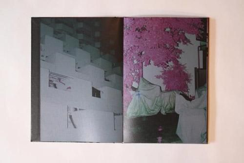 山谷佑介: Into the Light (signed)
