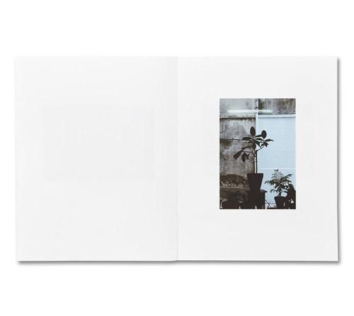 Luigi Ghirri: Colazione sull'erba