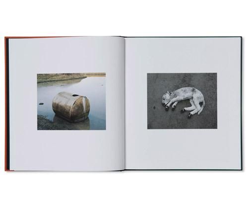 アート・デザイン・音楽 Robin Friend / Bastard Countryside Bastard Countryside by Robin Friend - 1854 Photography