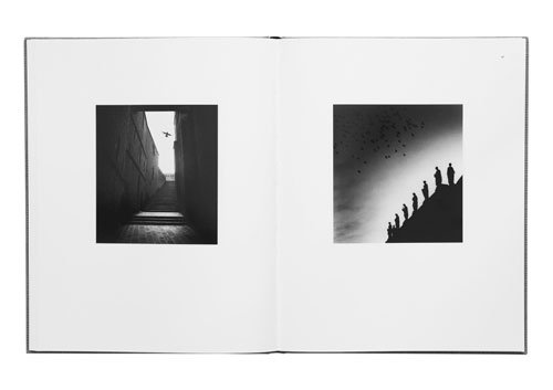 Michael Kenna: Des Oiseaux