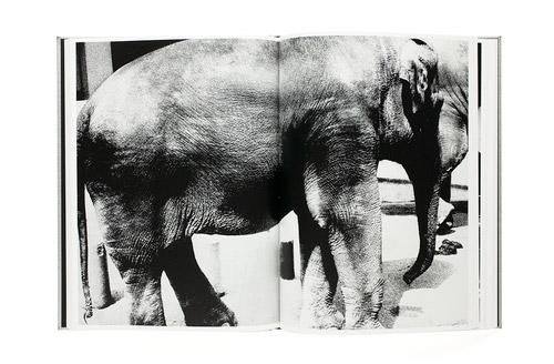 絶版) Daido Moriyama (55s) ハードカバー 森山大道 本