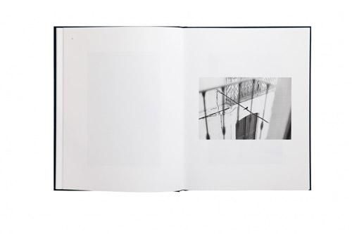 Bernard Plossu: Des Oiseaux