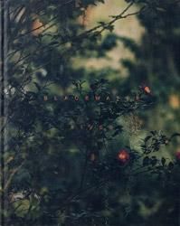 Robbie Lawrence: Brackwater River