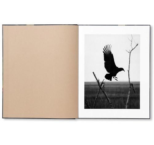 Blackwater  初版　Robbie Lawrence Robbie Lawrence: Brackwater River