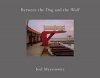 <B>Between the Dog and the Wolf 2nd edition (Cover B)</B> <BR>Joel Meyerowitz