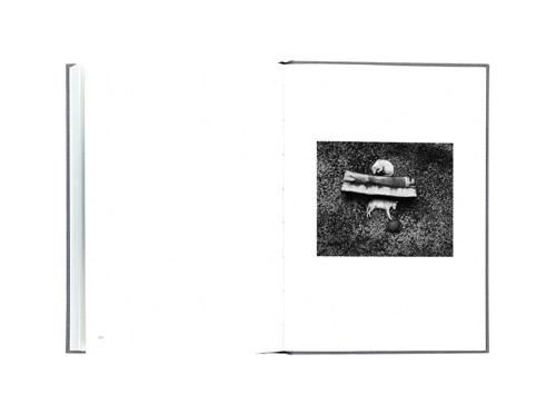 ME KAKSI PENTTI SAMMALLAHTI　ペンティ・サマラッティ Pentti Sammallahti: Me Kaksi