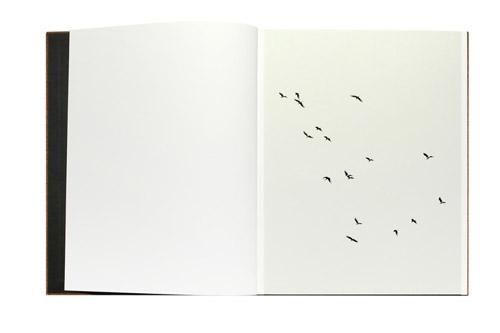 Paolo Pellegrin: Des Oiseaux