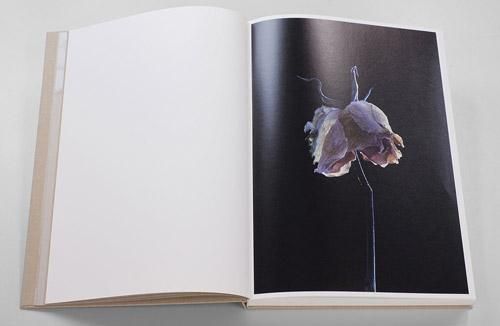 Carla Van De Puttelaar: Adornments